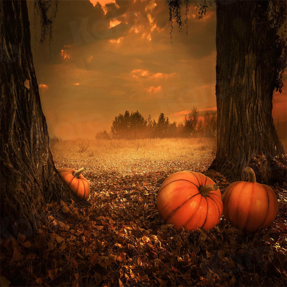 Kate Autumn Nature Backdrop Pumpkin Deciduous Forest for Photography - Kate Backdrop AU