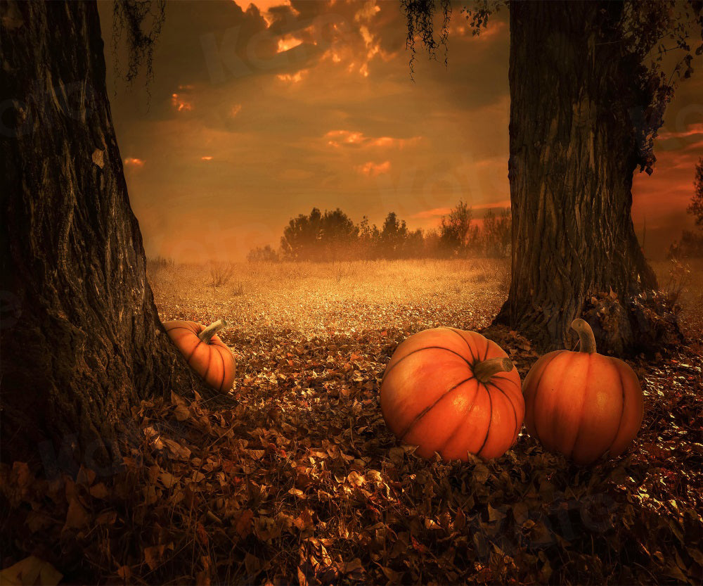 Kate Autumn Nature Backdrop Pumpkin Deciduous Forest for Photography - Kate Backdrop AU