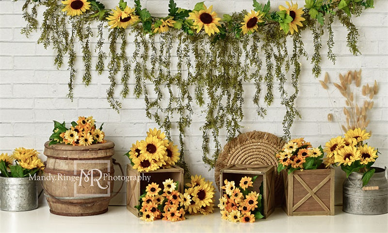 Kate Country Sunflowers Backdrop Designed by Mandy Ringe Photography