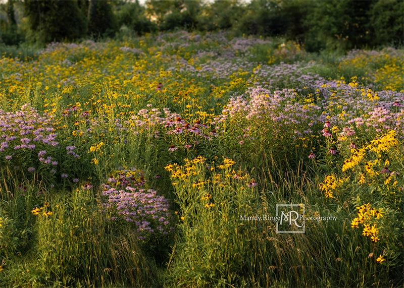 Kate Summer Wildflower Field Backdrop Designed by Mandy Ringe Photography