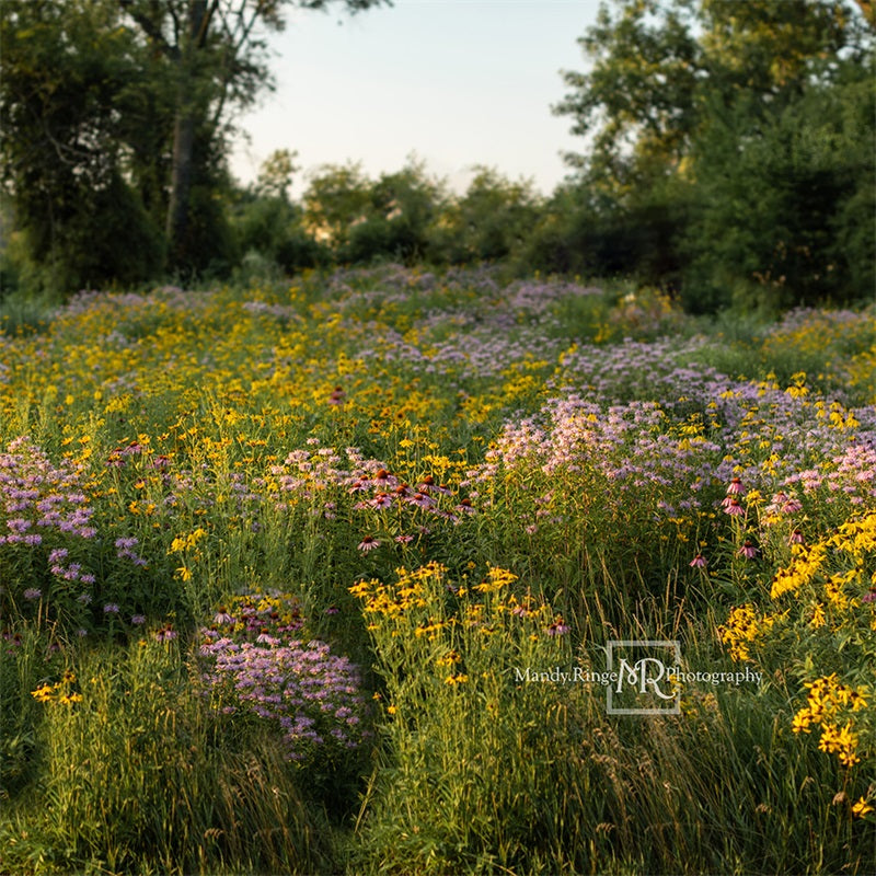 Kate Summer Wildflower Field Backdrop Designed by Mandy Ringe Photography - Kate Backdrop AU