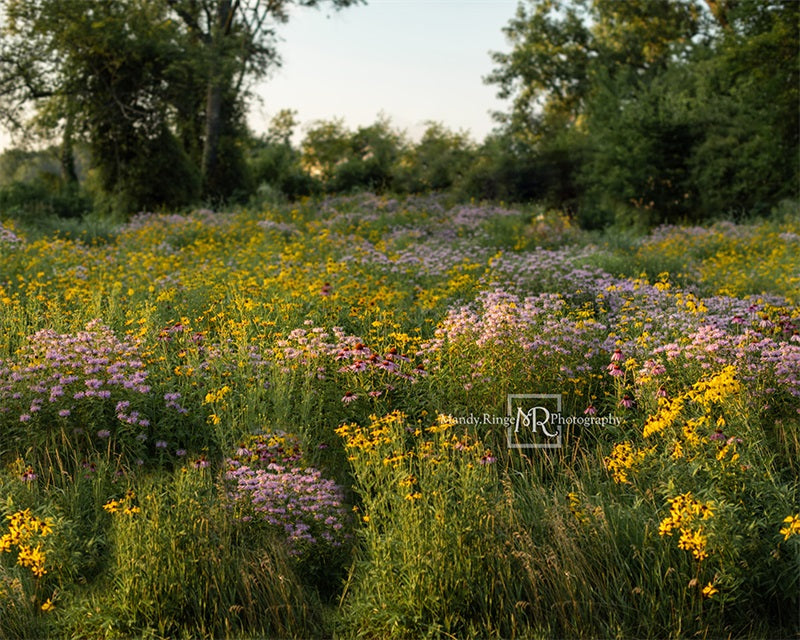 Kate Summer Wildflower Field Backdrop Designed by Mandy Ringe Photography - Kate Backdrop AU