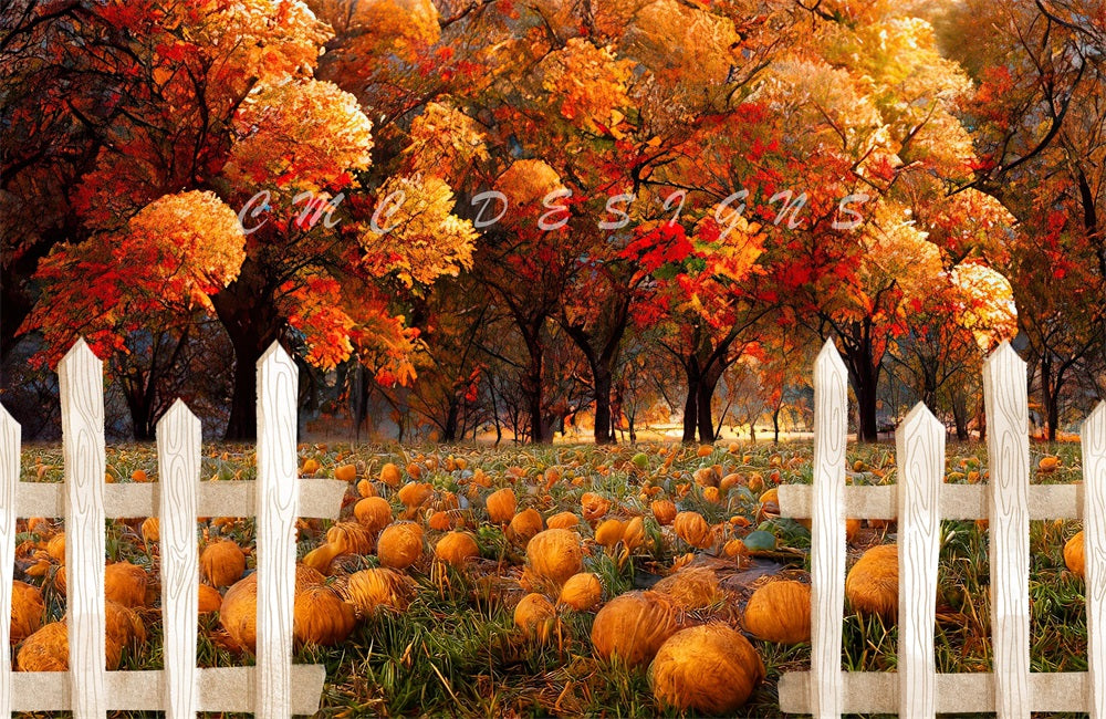Kate Pumpkin Patch Backdrop Autumn Designed by Candice Compton