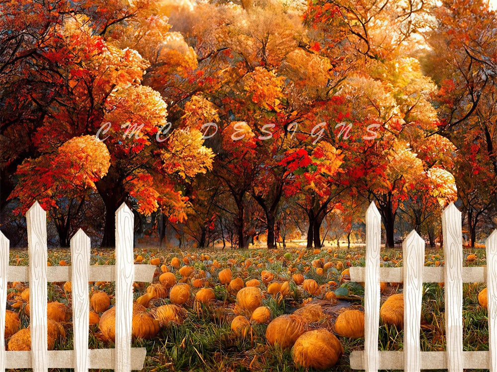Kate Pumpkin Patch Backdrop Autumn Designed by Candice Compton