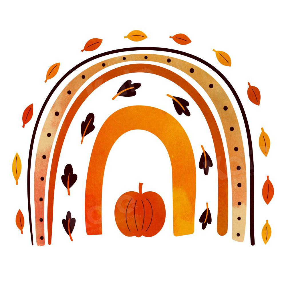 Kate Autumn Pumpkin Rainbow Backdrop Boho for Photography - Kate Backdrop AU