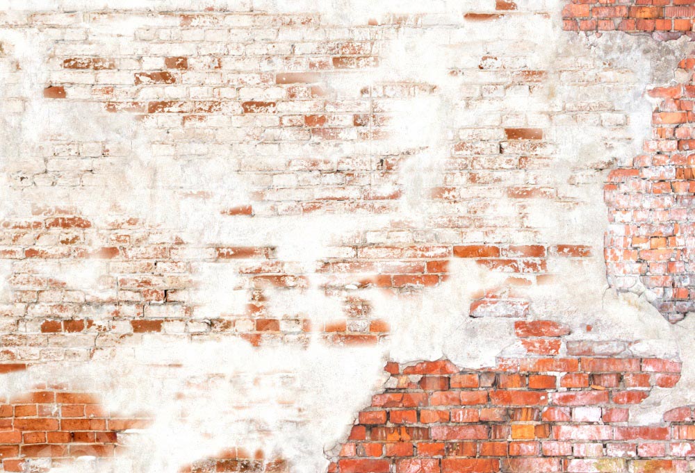 Kate Brick Wall Backdrop Retro Texture Designed by Kate Image