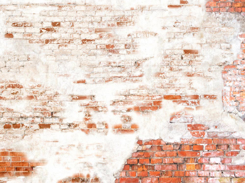 Kate Brick Wall Backdrop Retro Texture Designed by Kate Image