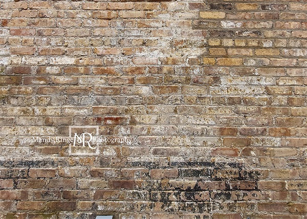 Kate Old Urban Brick Backdrop Designed by Mandy Ringe Photography