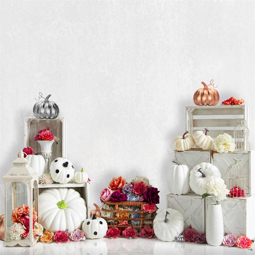 Kate Autumn White Pumpkins Backdrop for Photography - Kate Backdrop AU