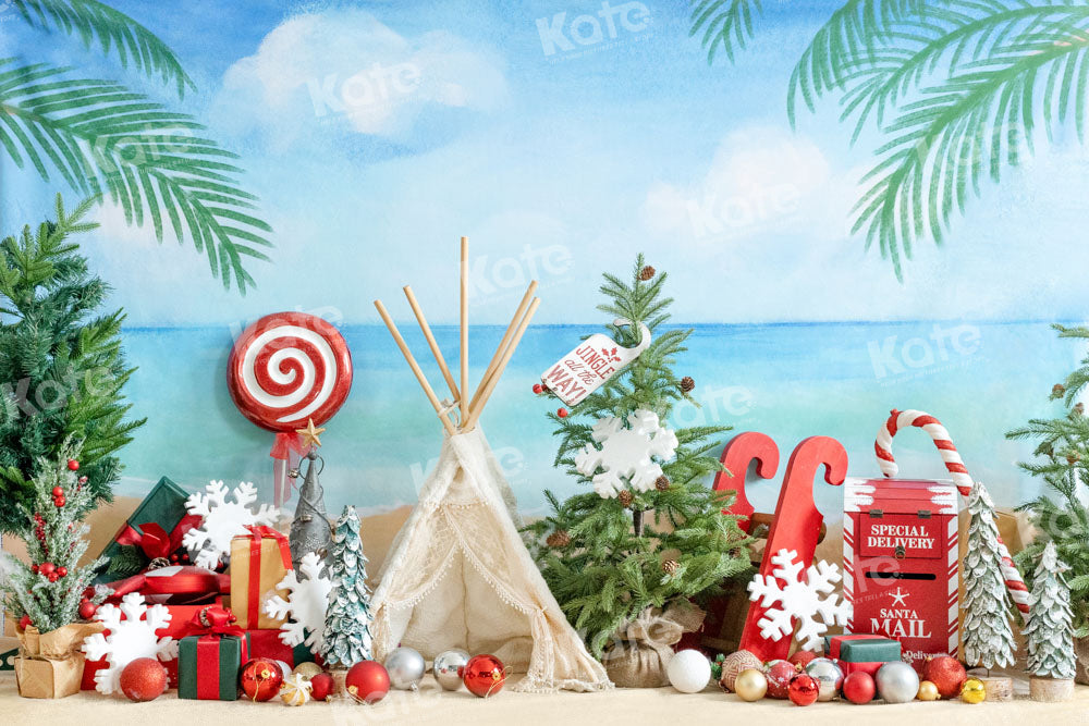 Kate Seaside Beach Christmas Backdrop Designed by Emetselch