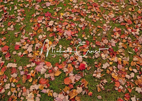 Kate Autumn Fallen Leaves Backdrop Grassland Designed By Michele Ernst Photography