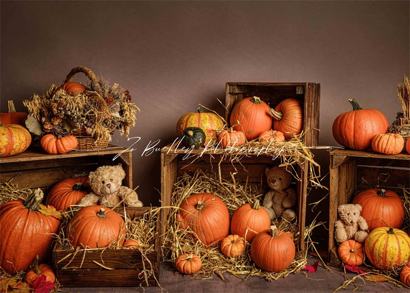 Kate Pumpkin Teds Backdrop Designed by Jo Buckley Photography