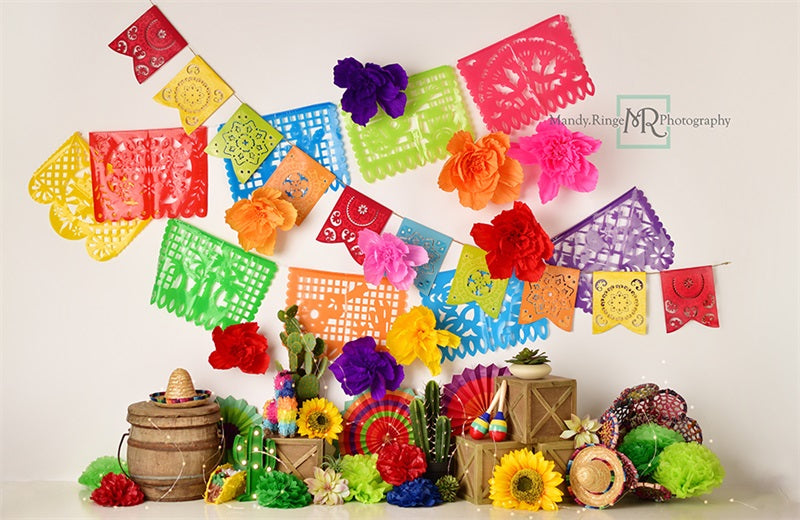 Kate Sunflower Fiesta Backdrop Designed by Mandy Ringe Photography