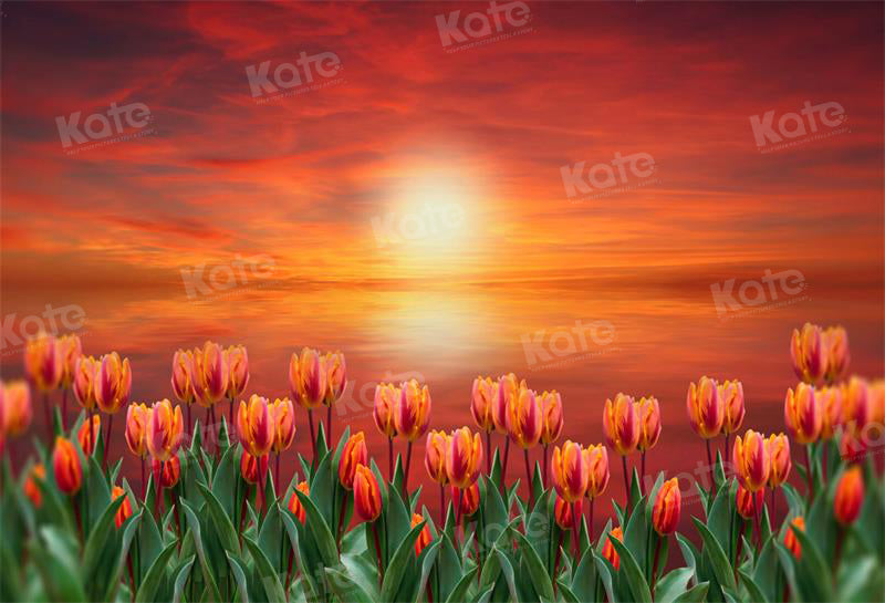 Kate Sunset Tulip Backdrop for Photography - Kate Backdrop AU