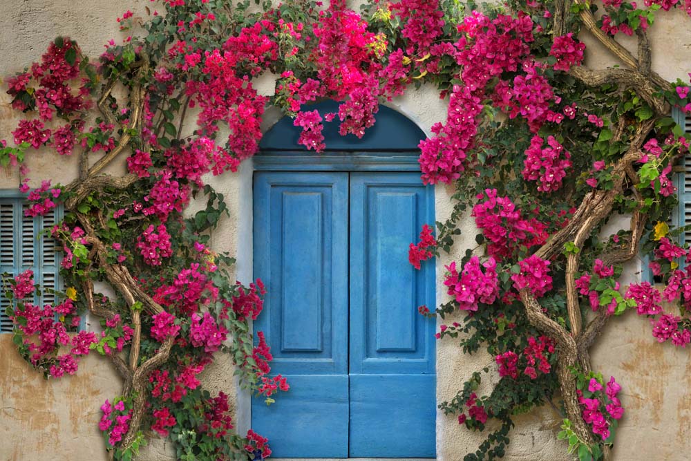 Kate Spring Door Backdrop Flower Wall Designed by Chain Photography - Kate Backdrop AU