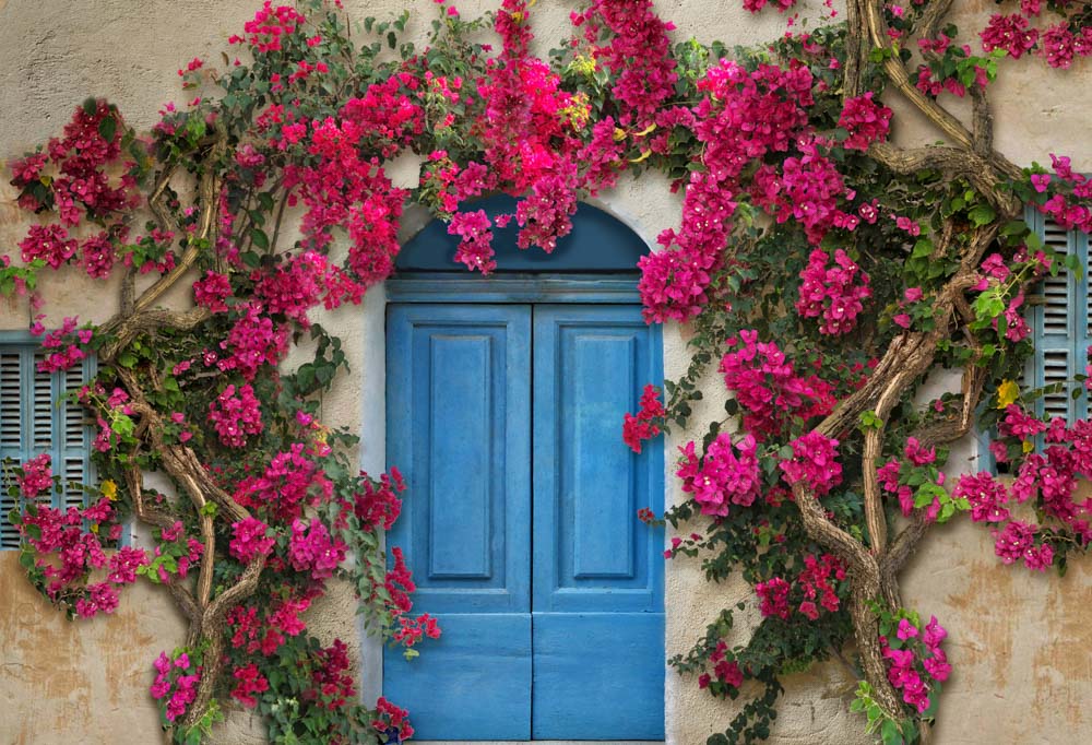 Kate Spring Door Backdrop Flower Wall Designed by Chain Photography