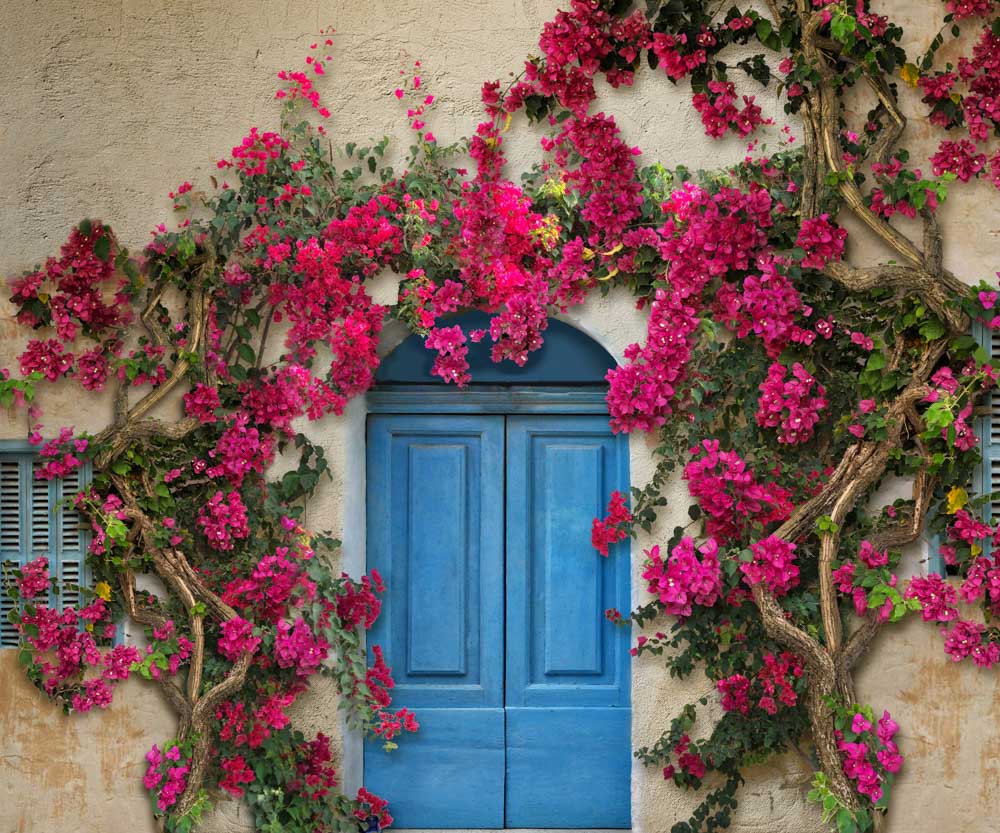 Kate Spring Door Backdrop Flower Wall Designed by Chain Photography