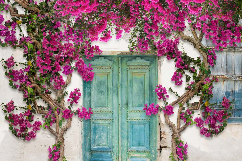 Kate Spring Flowers Door Backdrop Designed by Chain Photography - Kate Backdrop AU