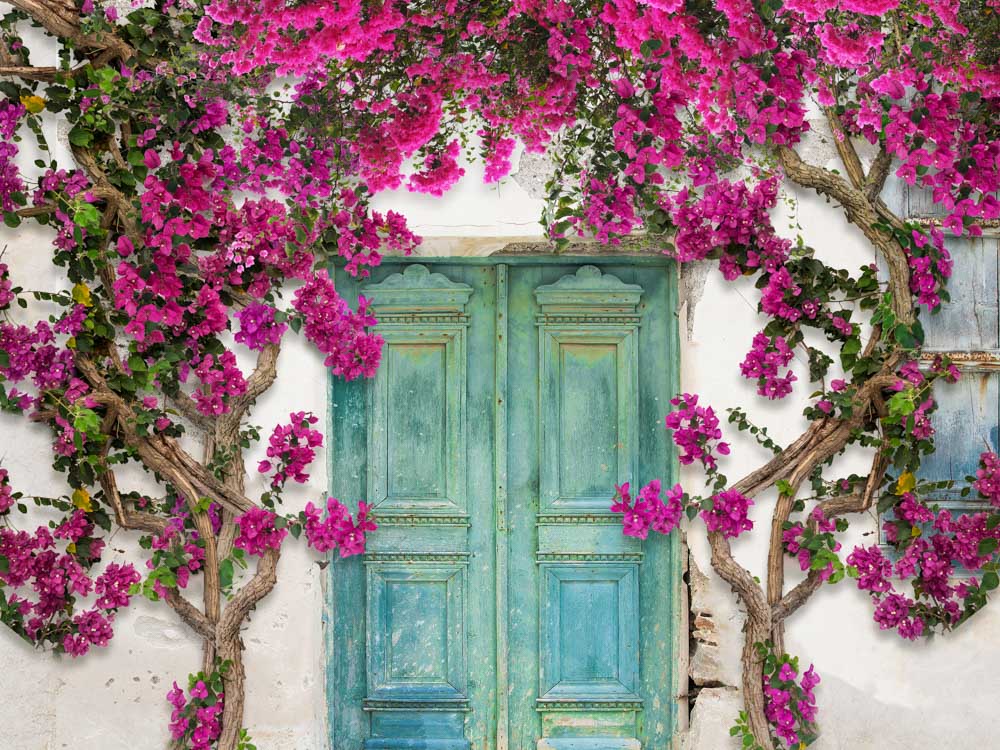 Kate Spring Flowers Door Backdrop Designed by Chain Photography - Kate Backdrop AU