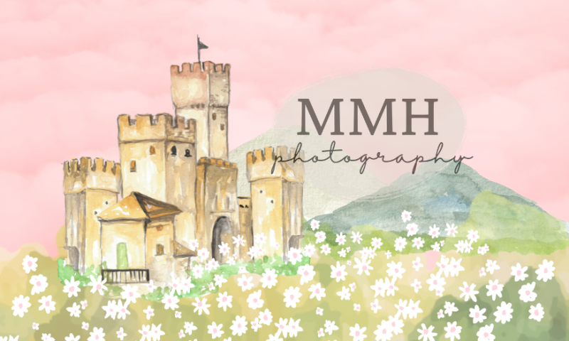 Kate Pink Princess Castle Backdrop Flower Designed by Melissa McCraw-Hummer