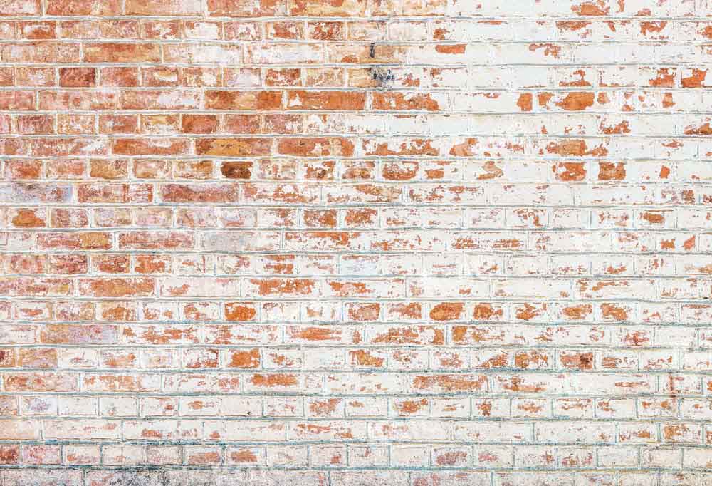 Kate Mixed Red White Bricks Backdrop Designed by Kate Image