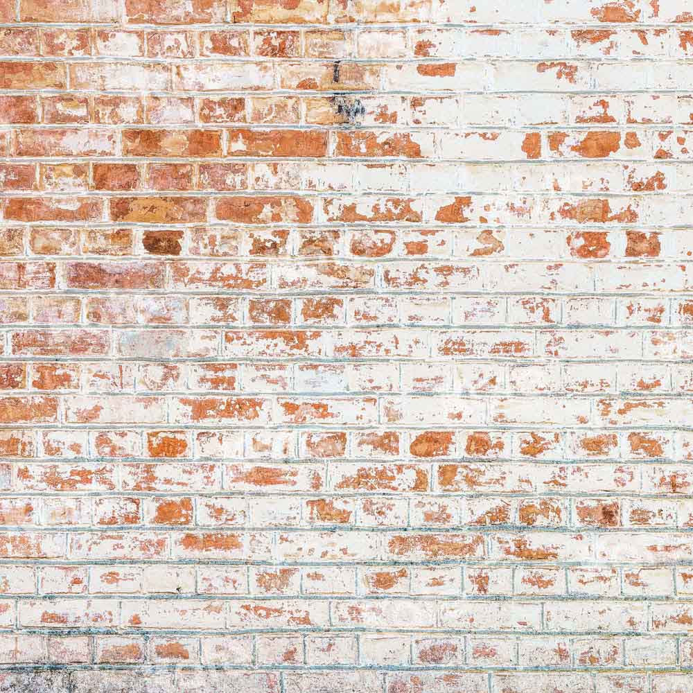 Kate Mixed Red White Bricks Backdrop Designed by Kate Image
