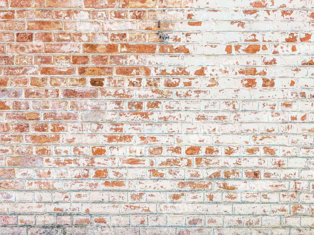 Kate Mixed Red White Bricks Backdrop Designed by Kate Image