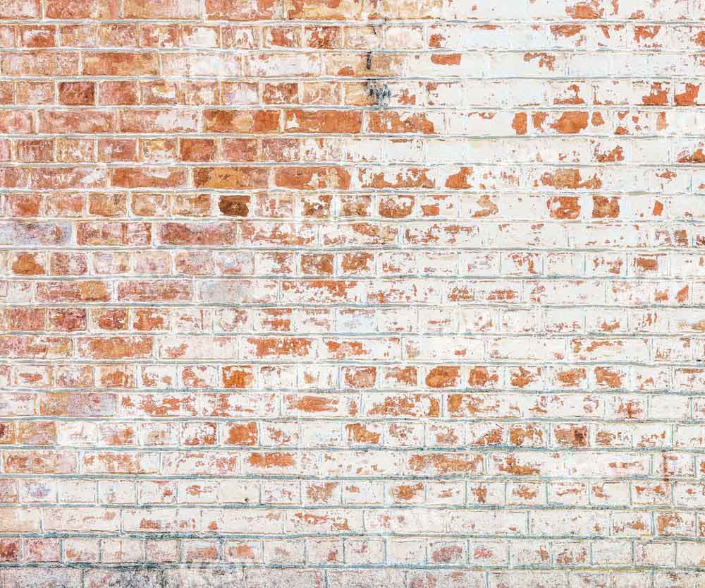 Kate Mixed Red White Bricks Backdrop Designed by Kate Image