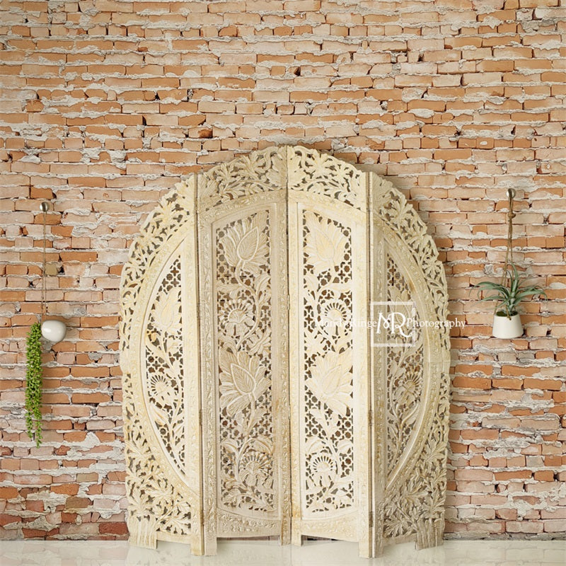 Kate Boho Screen Hanging Plants Backdrop Designed by Mandy Ringe Photography - Kate Backdrop AU