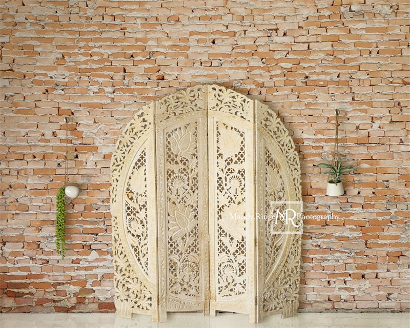 Kate Boho Screen Hanging Plants Backdrop Designed by Mandy Ringe Photography - Kate Backdrop AU