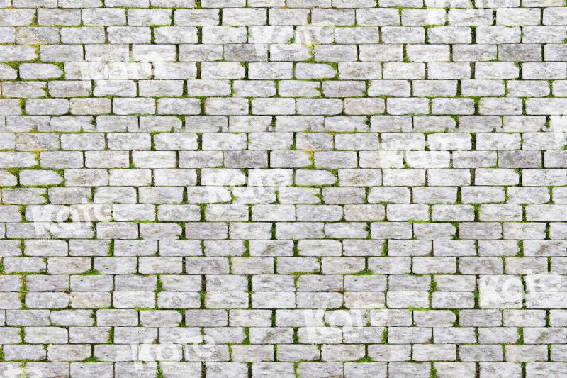 Kate Ehite Brick Grass Backdrop for Photography - Kate Backdrop AU
