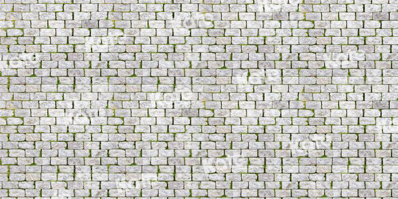 Kate Ehite Brick Grass Backdrop for Photography - Kate Backdrop AU