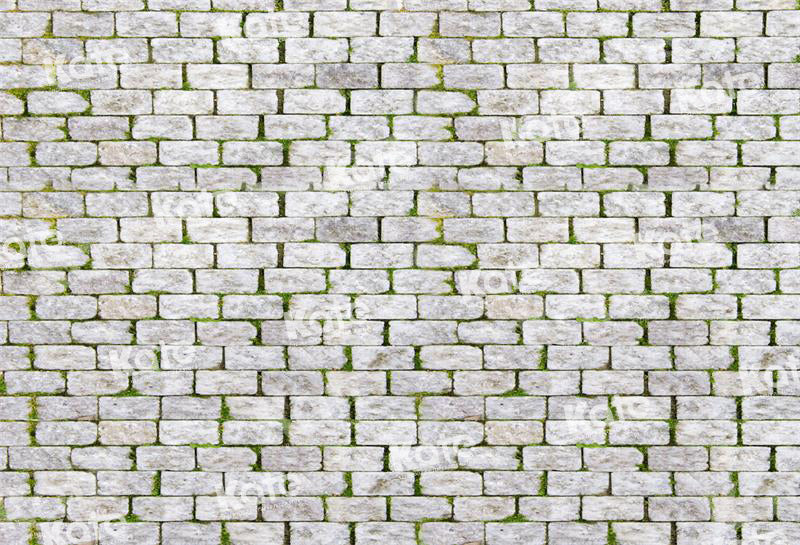 Kate Ehite Brick Grass Backdrop for Photography - Kate Backdrop AU