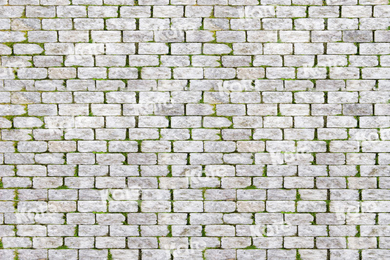 Kate Ehite Brick Grass Backdrop for Photography - Kate Backdrop AU