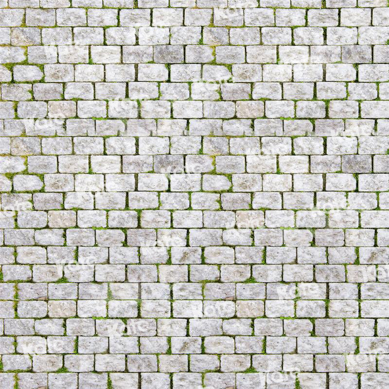 Kate Ehite Brick Grass Backdrop for Photography - Kate Backdrop AU