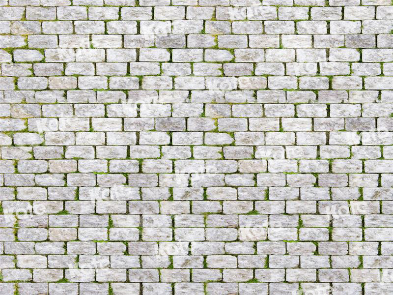 Kate Ehite Brick Grass Backdrop for Photography - Kate Backdrop AU