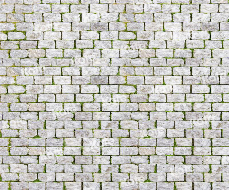 Kate Ehite Brick Grass Backdrop for Photography - Kate Backdrop AU