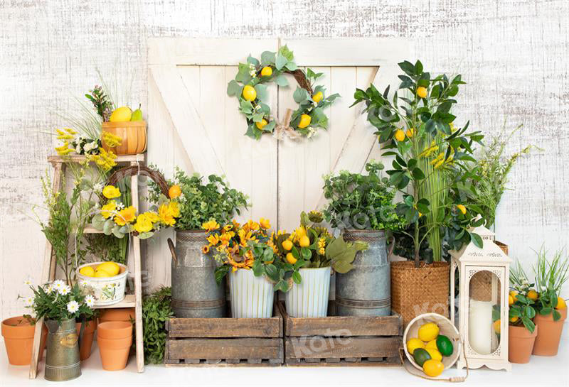 Kate Spring/Summer Lemon Barn Backdrop for Photography - Kate Backdrop AU