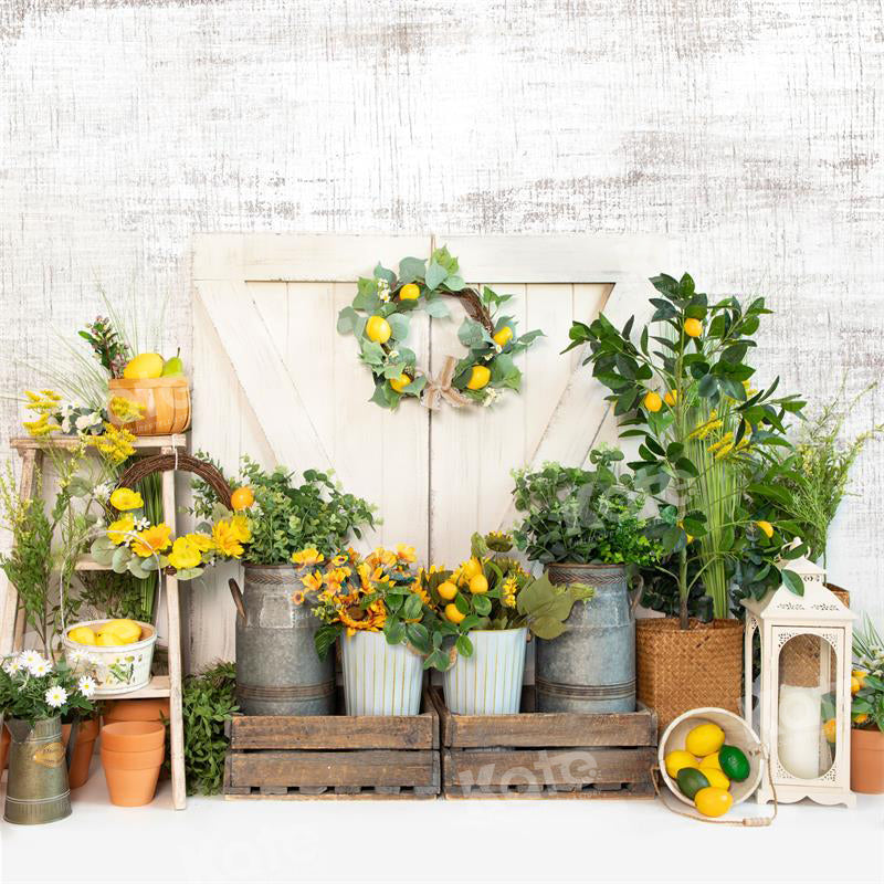 Kate Spring/Summer Lemon Barn Backdrop for Photography - Kate Backdrop AU