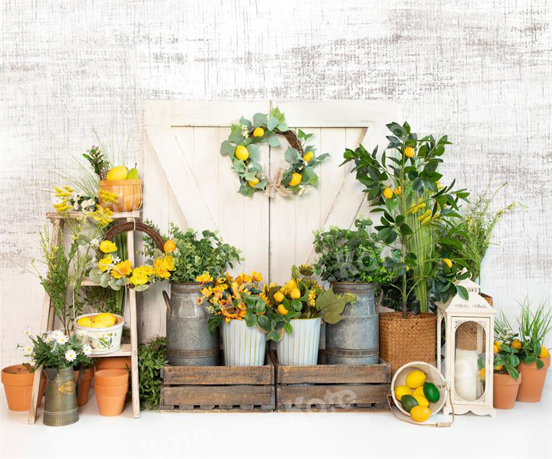 Kate Spring/Summer Lemon Barn Backdrop for Photography - Kate Backdrop AU