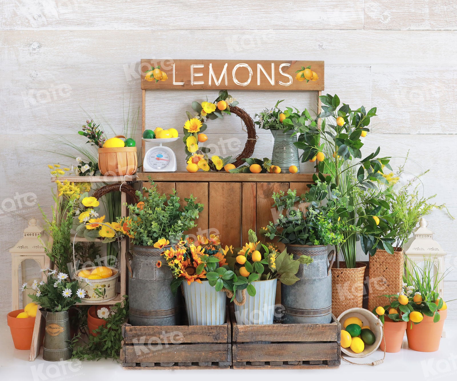 Kate Spring/Summer Sell Lemon Cart Backdrop for Photography
