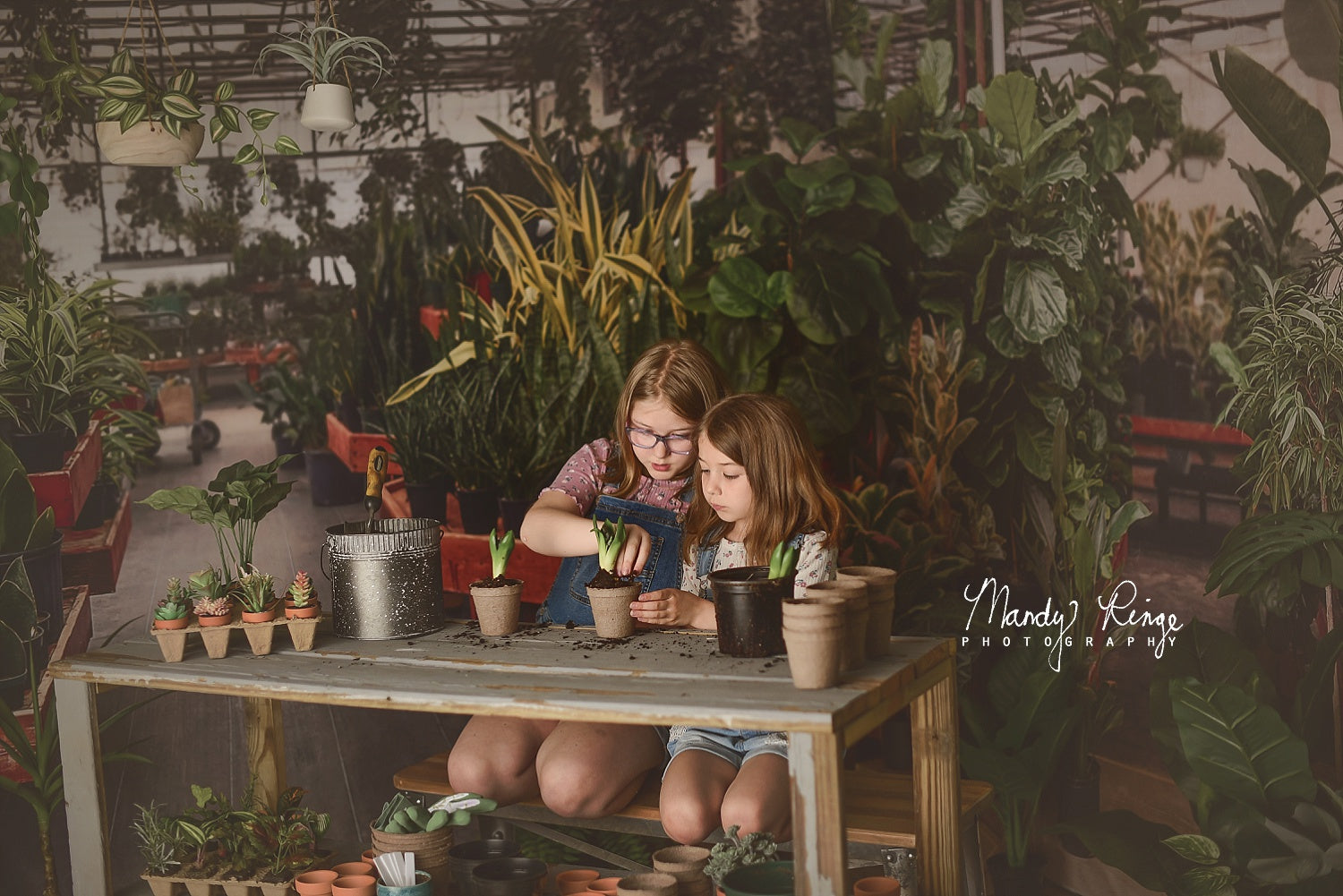 Kate Tropical Greenhouse Interior Summer Plants Room Set Designed by Mandy Ringe Photography(8ftx8ft&10ftx8ft&8ftx10ft)