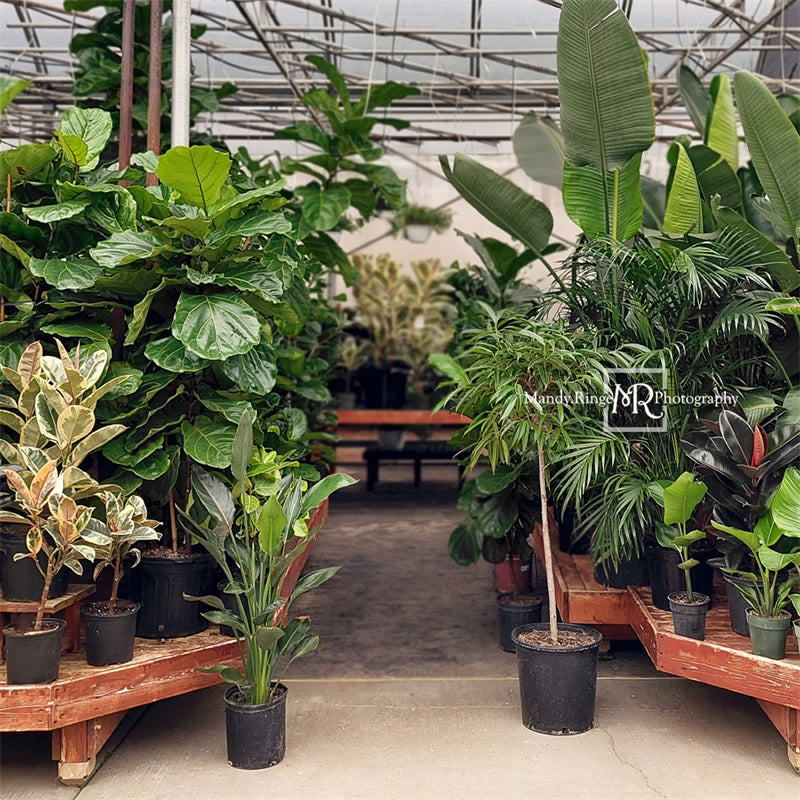 Kate Tropical Greenhouse Interior Backdrop Designed by Mandy Ringe Photography - Kate Backdrop AU