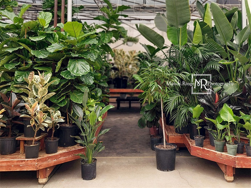 Kate Tropical Greenhouse Interior Backdrop Designed by Mandy Ringe Photography - Kate Backdrop AU