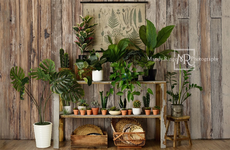 Kate Log House Plants Backdrop Small Potted Rustic Plant Shop Designed by Mandy Ringe Photography - Kate Backdrop AU