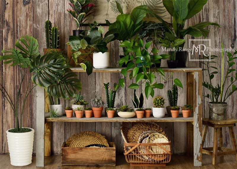 Kate Log House Plants Backdrop Small Potted Rustic Plant Shop Designed by Mandy Ringe Photography - Kate Backdrop AU
