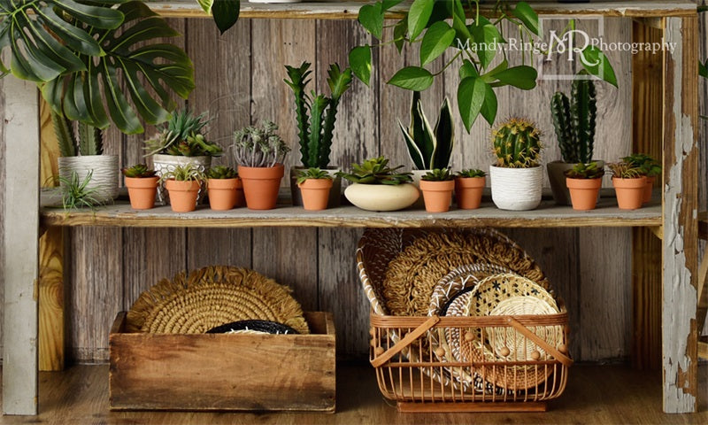 Kate Log House Plants Backdrop Small Potted Rustic Plant Shop Designed by Mandy Ringe Photography - Kate Backdrop AU