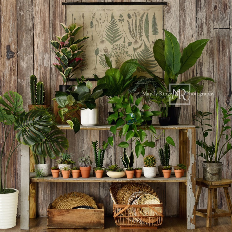 Kate Log House Plants Backdrop Small Potted Rustic Plant Shop Designed by Mandy Ringe Photography - Kate Backdrop AU