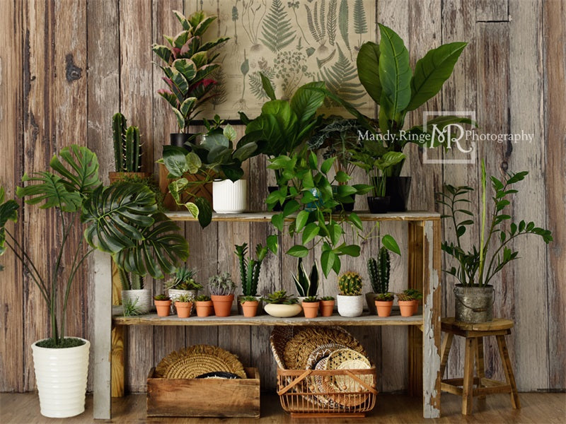 Kate Log House Plants Backdrop Small Potted Rustic Plant Shop Designed by Mandy Ringe Photography - Kate Backdrop AU