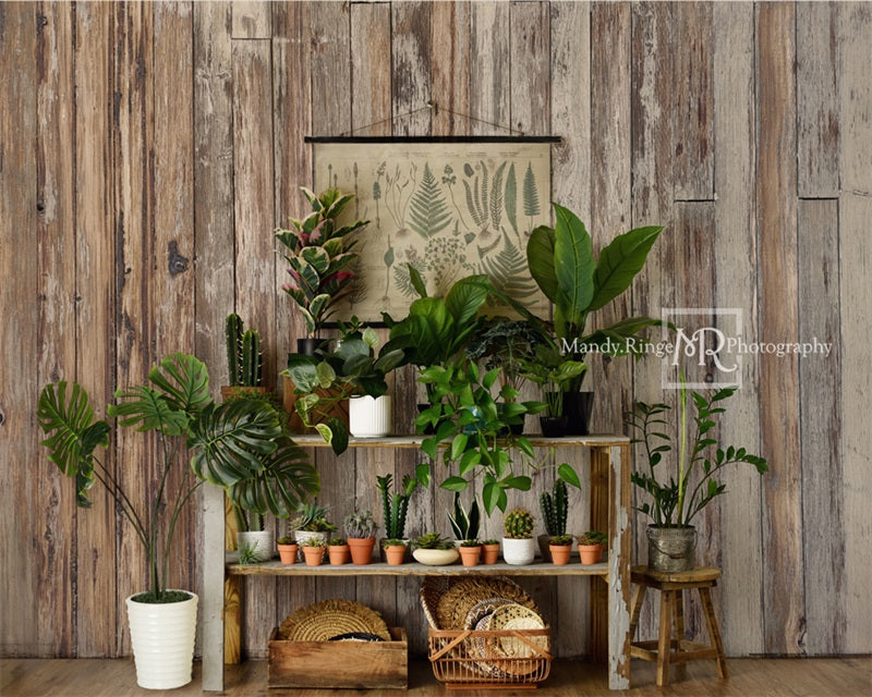 Kate Log House Plants Backdrop Small Potted Rustic Plant Shop Designed by Mandy Ringe Photography - Kate Backdrop AU